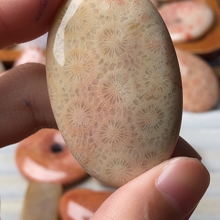 三***买硅化玉未镶嵌颈饰