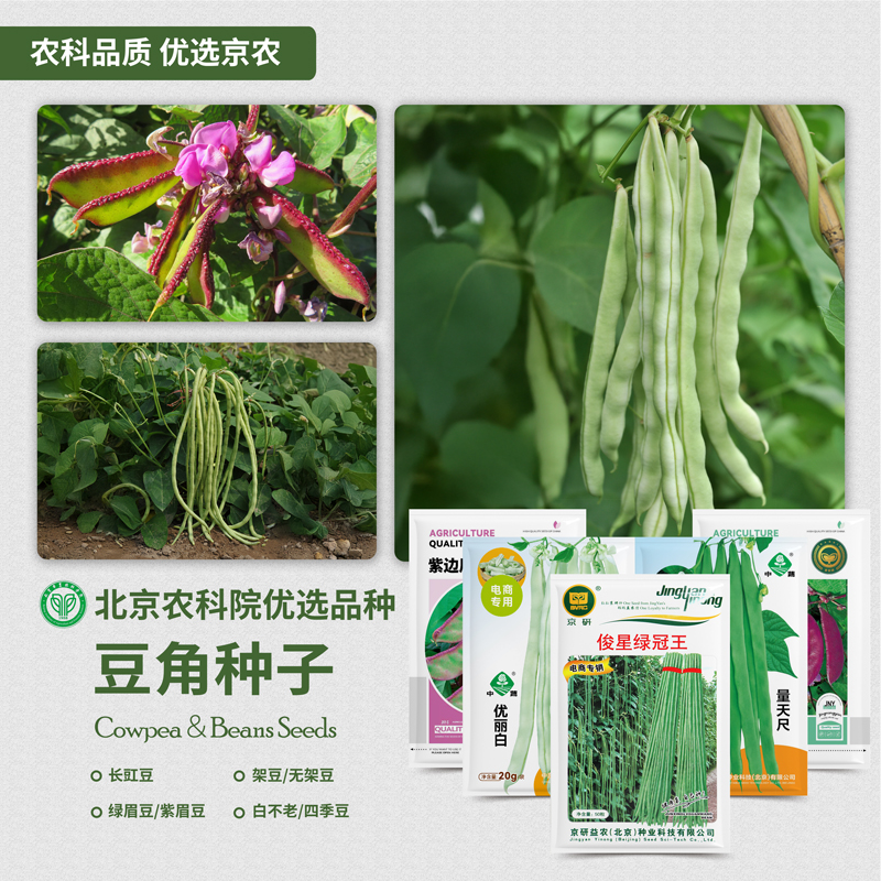农科院豆角种子长豇豆九粒白无筋豆架豆紫眉豆油豆芸豆蔬菜种籽孑