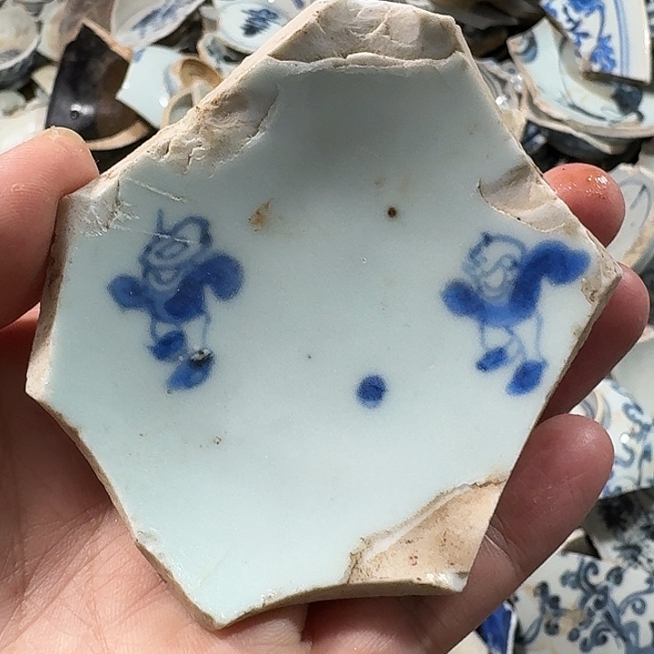 瓷片瓷片标本,顺丰包邮