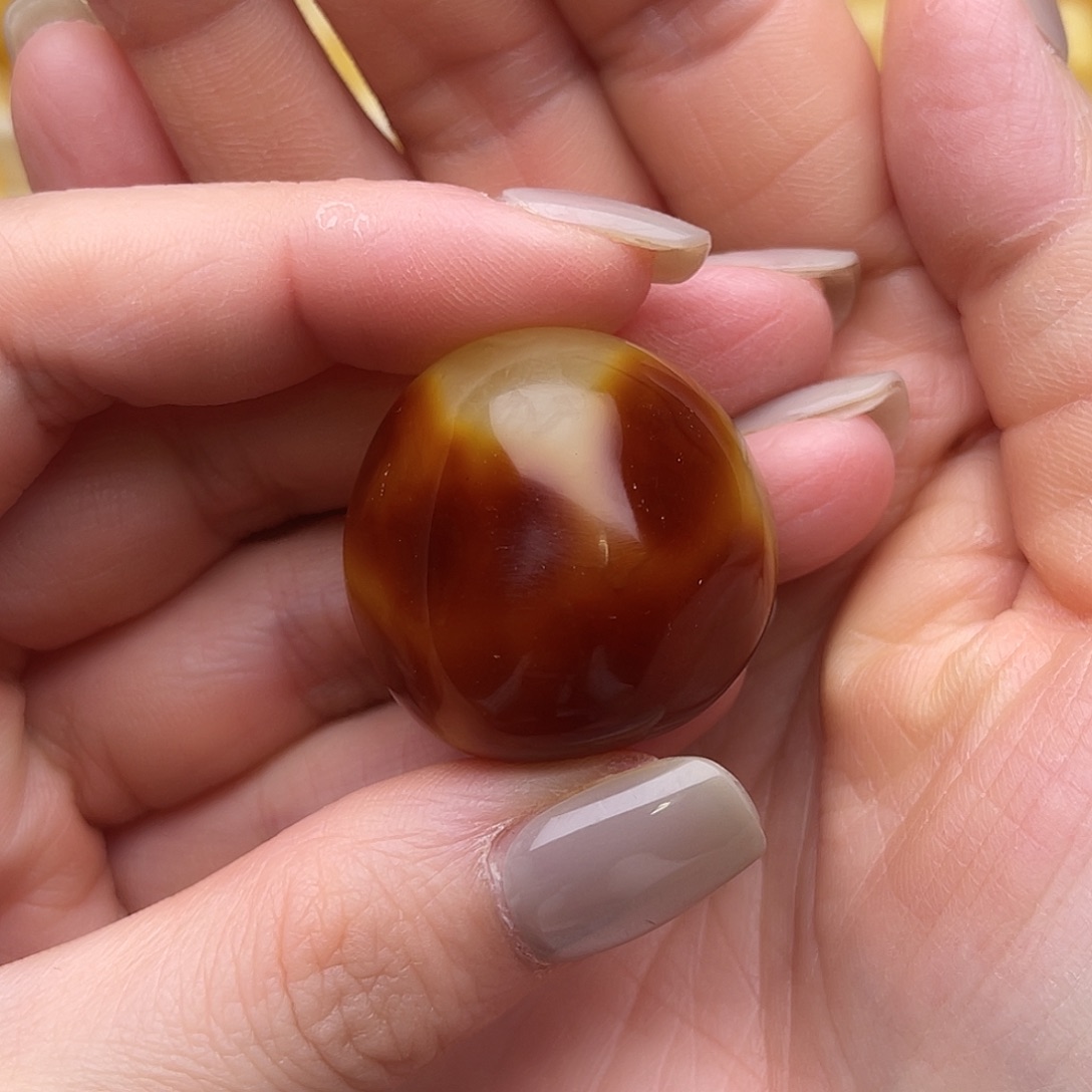 起***点蜜蜡未镶嵌裸石蜜蜡原石鸽