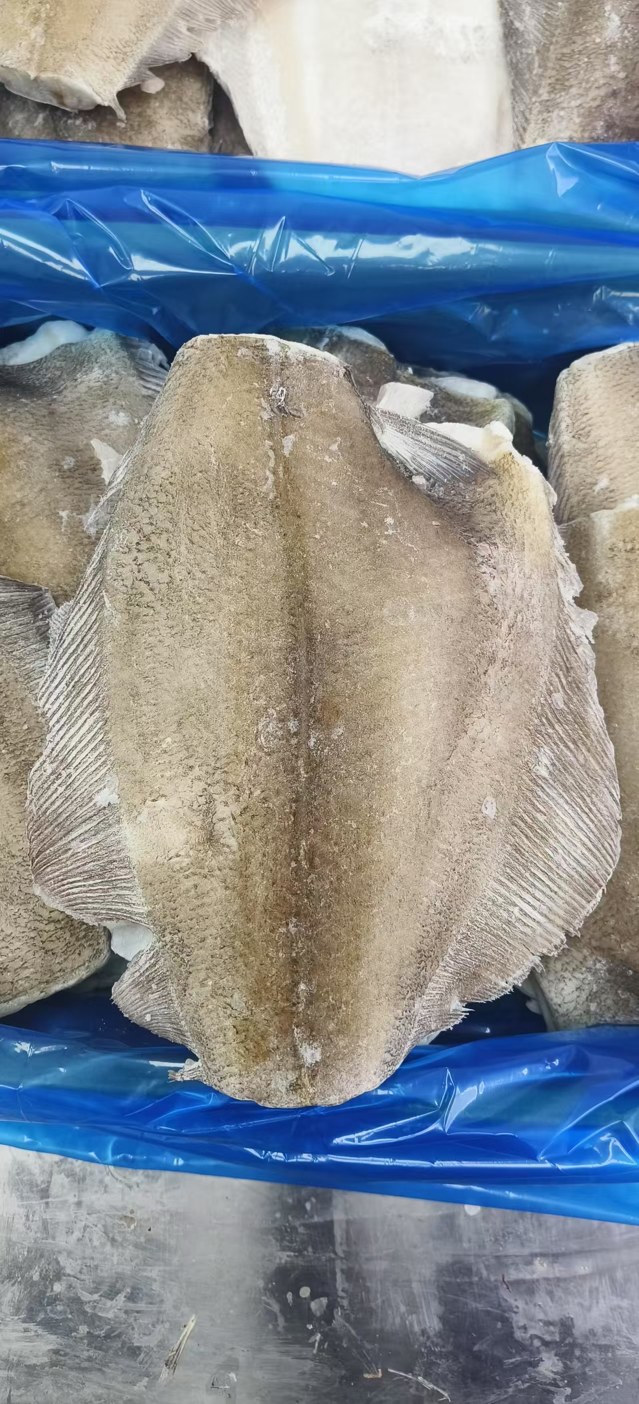 【整箱】深海鲽鱼身 16斤超值