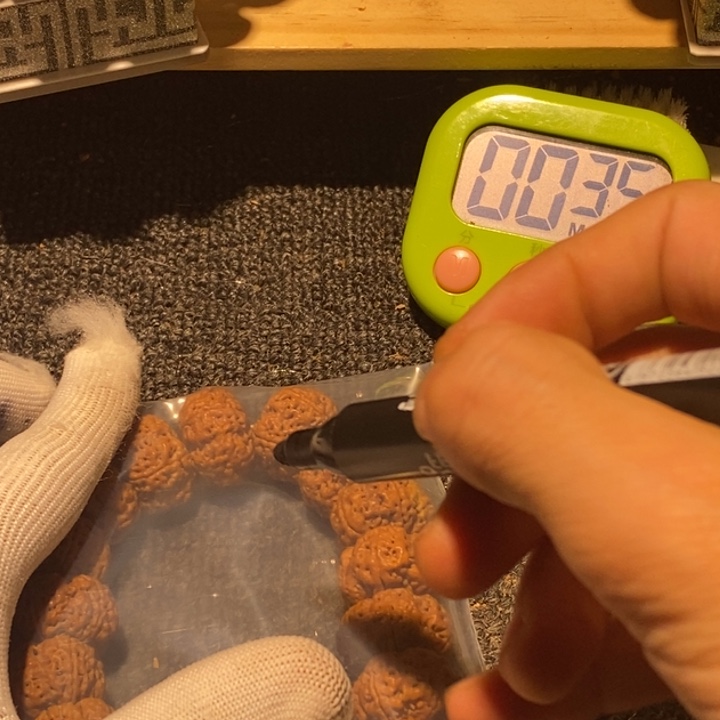 ರ***ರ金刚菩提吊坠不要说对不起哦你
