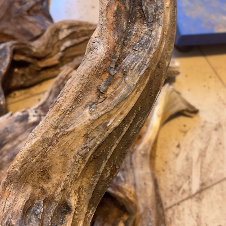 彭***琪木太行崖柏太行崖柏