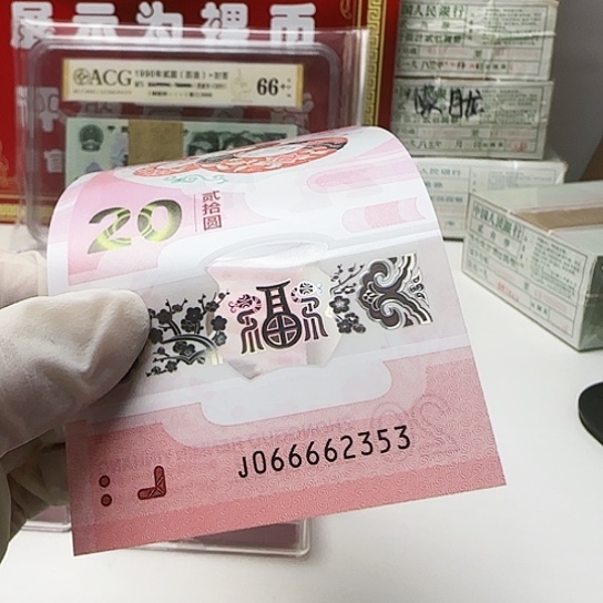 066662353…………………………