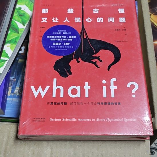 那些古怪又让人忧心的问题（纪念版）