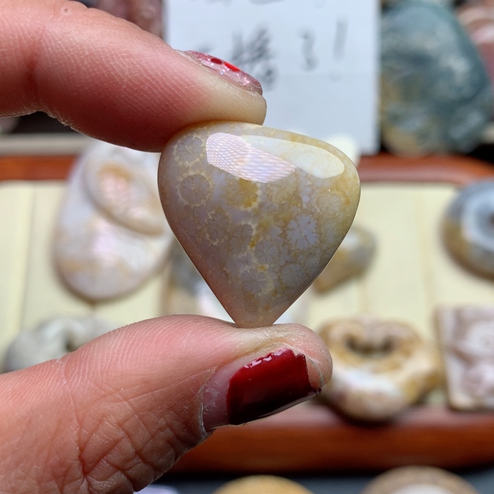 硅化珊瑚（珊瑚玉）颈饰未镶嵌