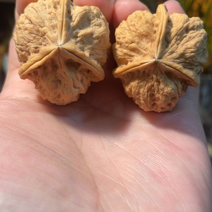 把件文玩核桃编号86