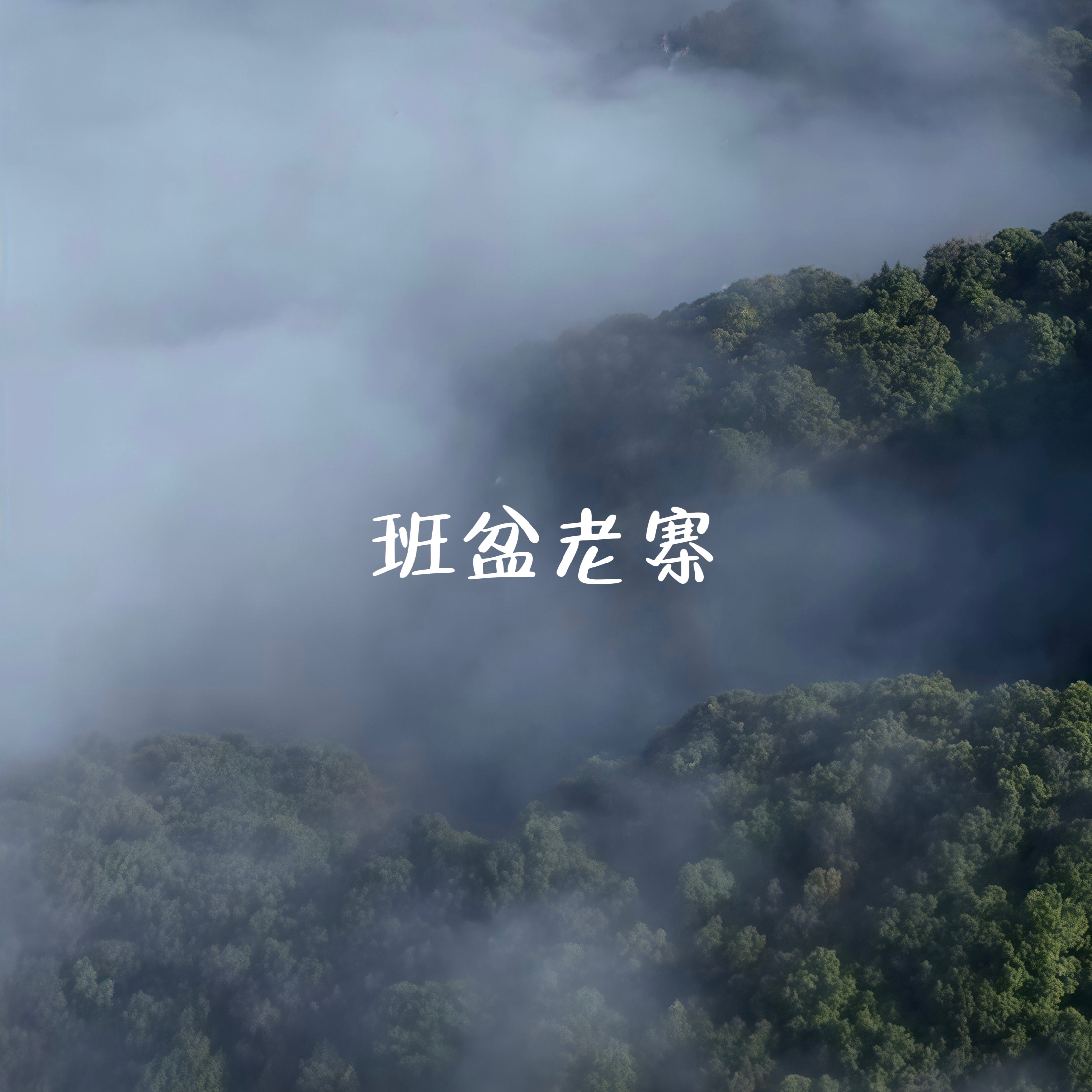 2025班盆老寨古树头春普洱生茶小方片