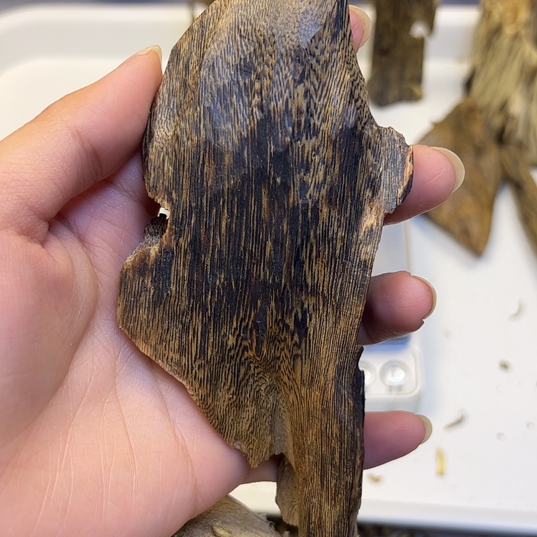 沉香沉香碎屑蓝宝石 33.4克 车摆/桌摆