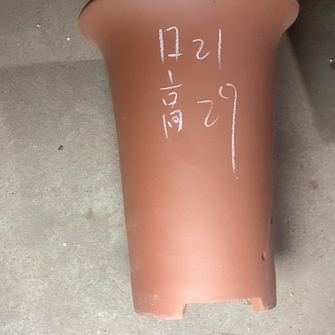 紫砂花盆紫砂等珍贵