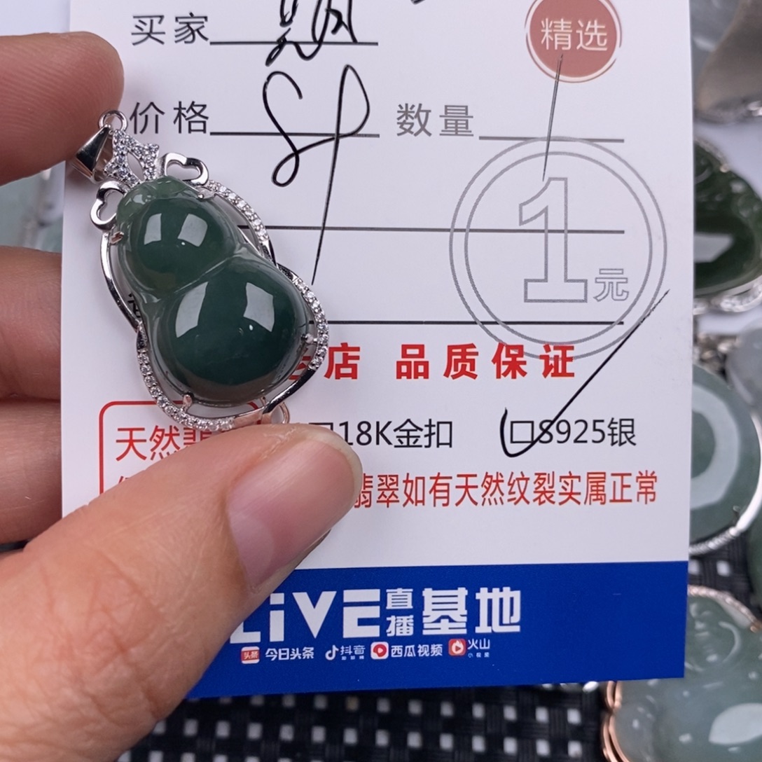 期***天翡翠银S925镶嵌颈饰