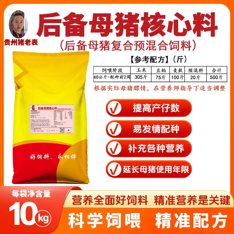 猪老表后备母猪料