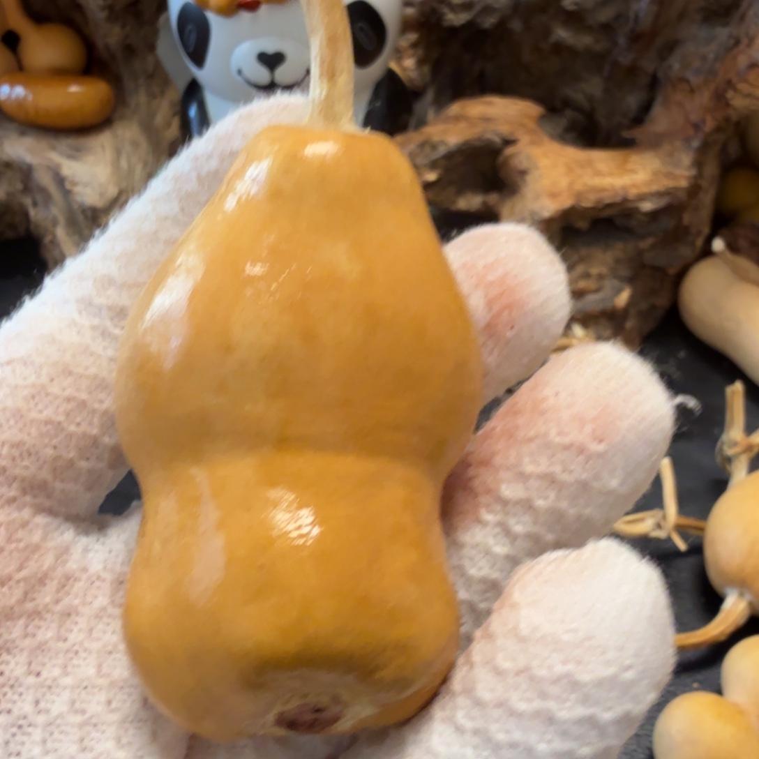 酒***子666666666666666666666