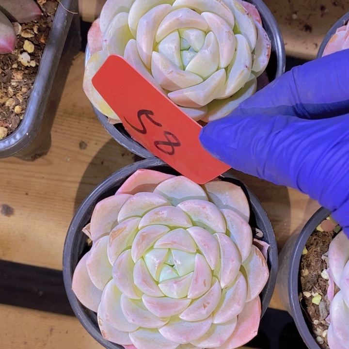 这个点就不应该喝