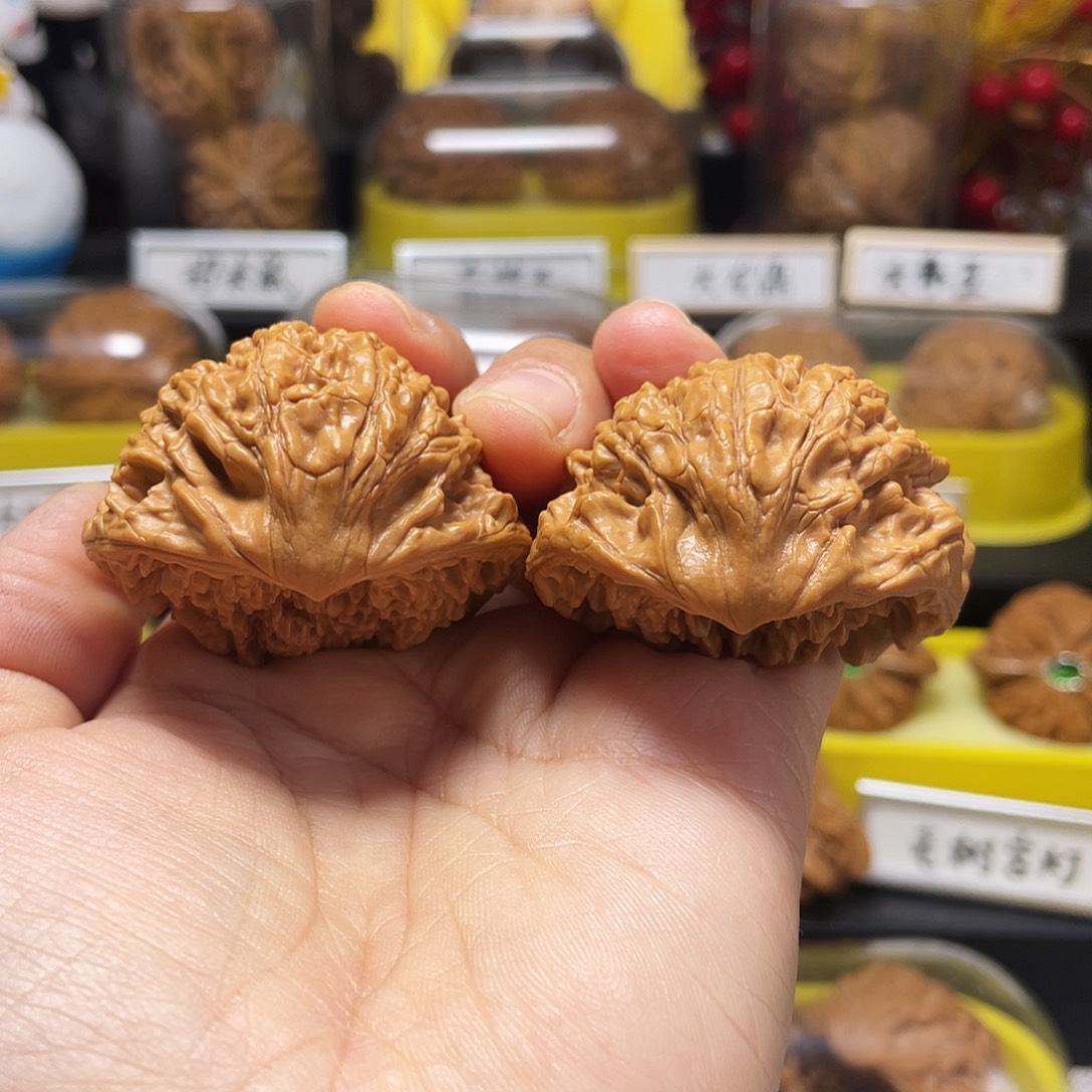 L***享木质类鹰嘴44尺寸88888