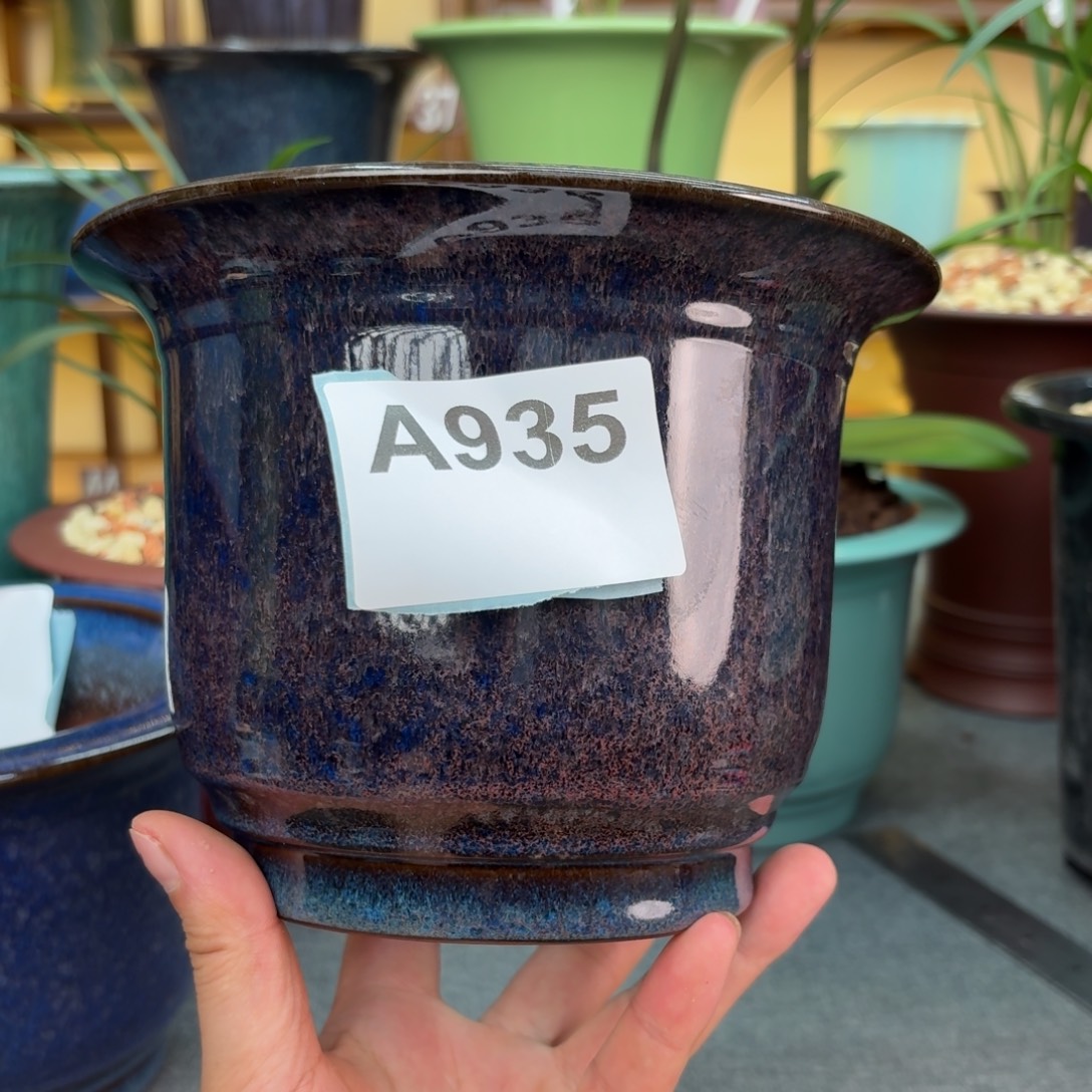 儒***妥花盆紫砂兰花4555555555555