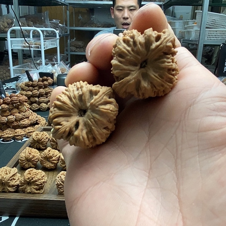 大叶紫檀（黑酸枝木类）凹的拉丝南将