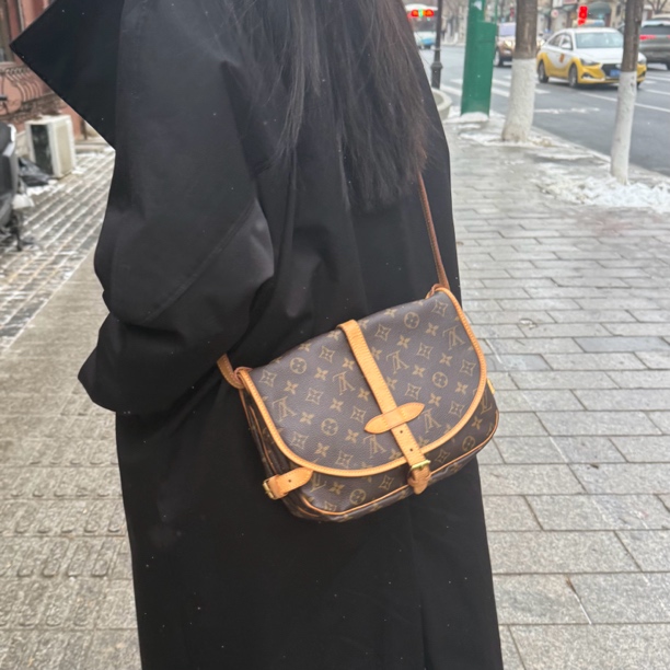 95新 LouisVuitton/路易威登 路易威登 老花双子星斜挎包
