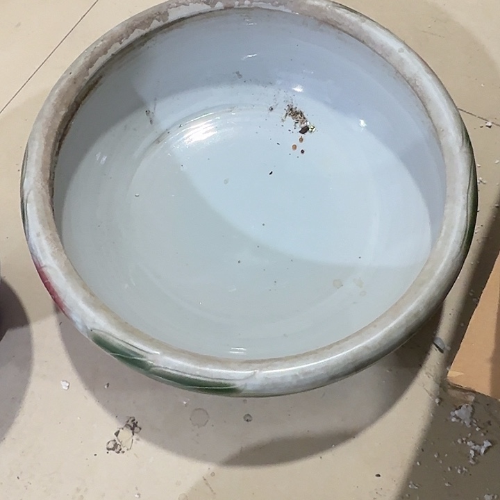 风***子扇子不哈哈哈哈哈哈哈哈哈哈哈哈