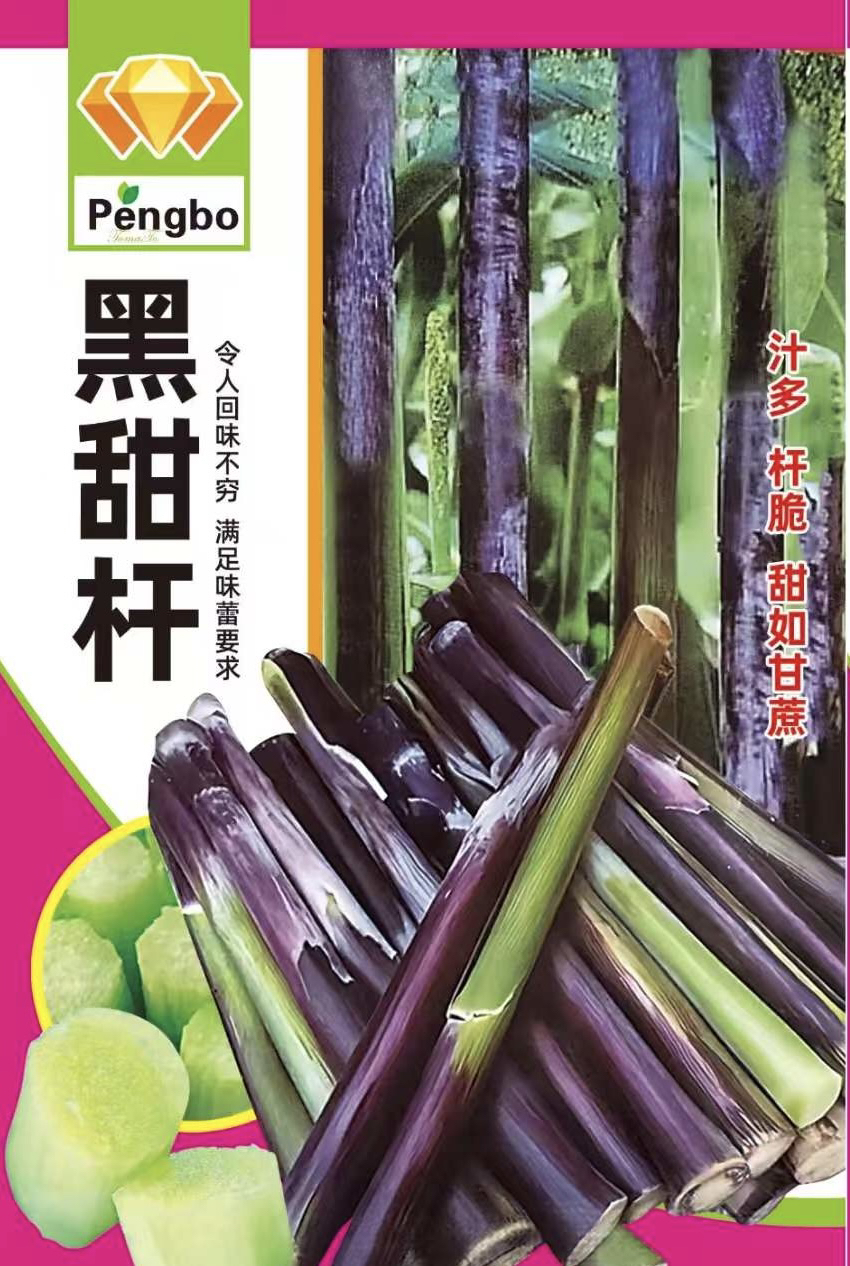 黑甜秆种子甜秆籽