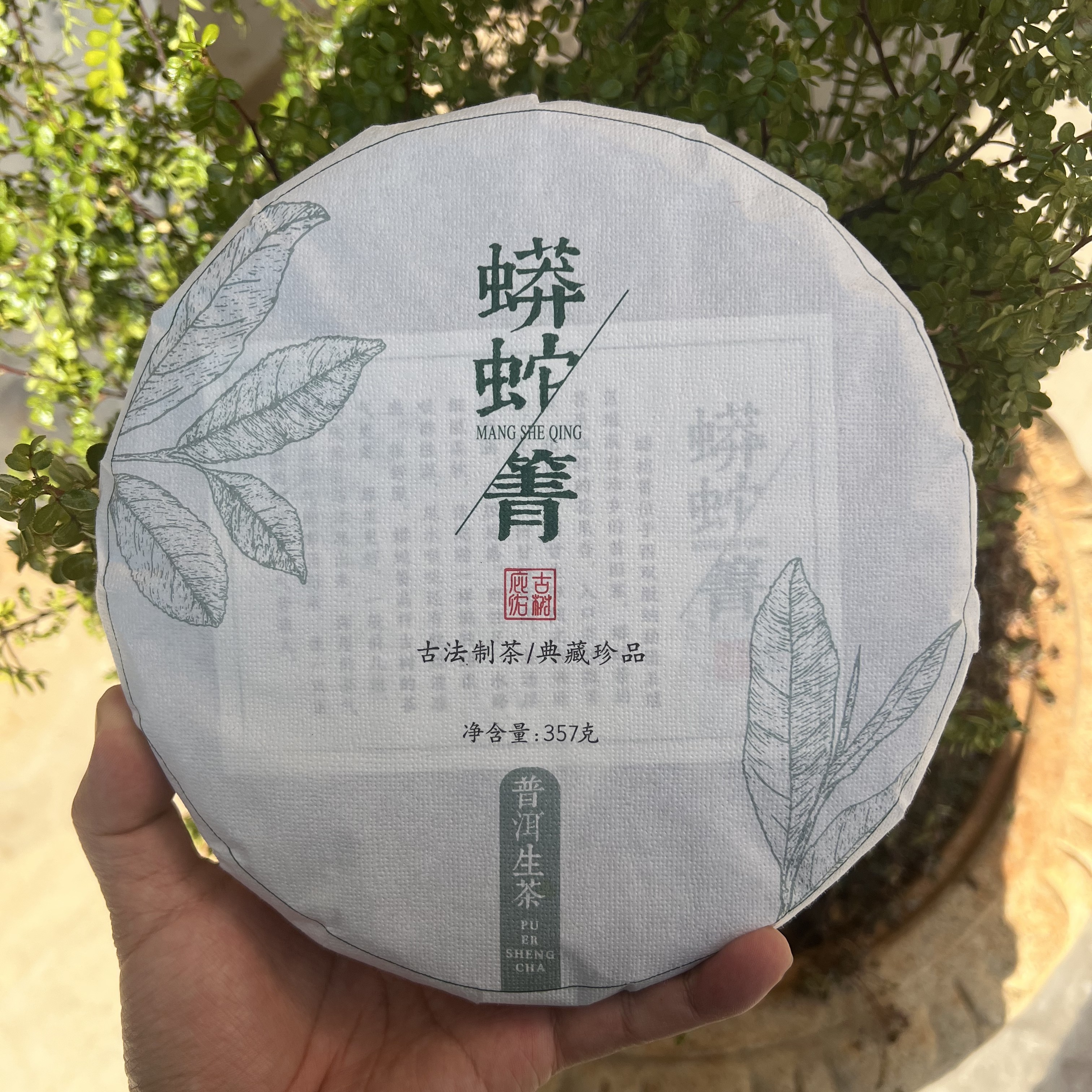 庇佑保真正品捡漏大高货易武蟒蛇箐古树普洱茶生茶357g上等生普洱