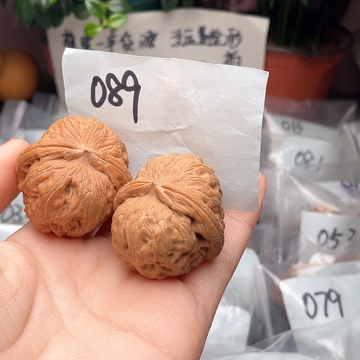43尺寸白茬无修磕碰元宝