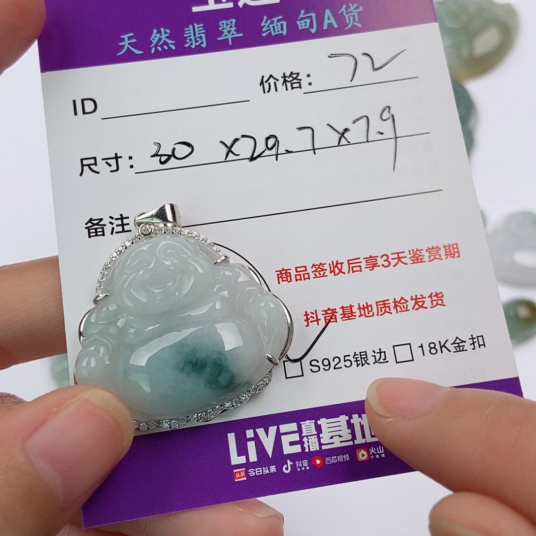 翡翠银S925镶嵌颈饰翡翠