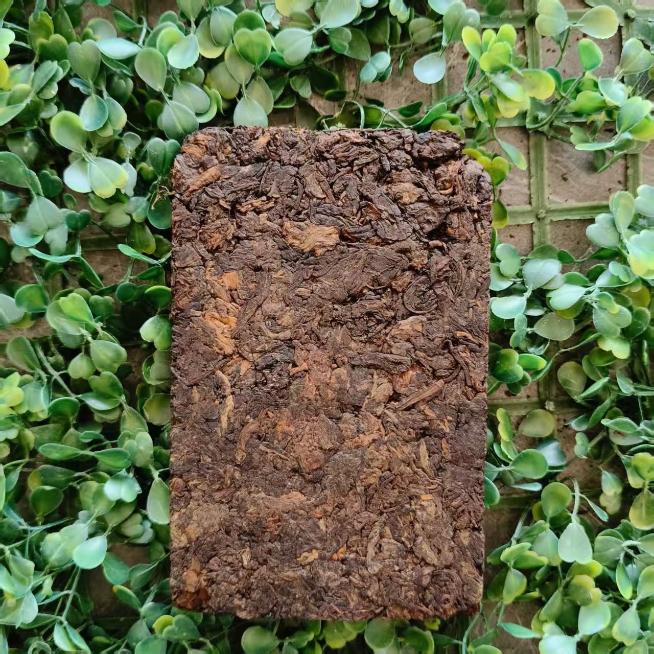 雨腾妹夫 “301 N楼”天X 苑 T研G方 T001"F+"浆250g/砖（6月16）