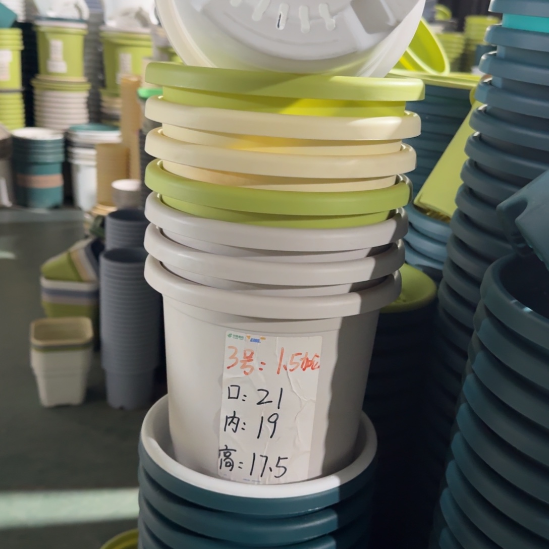 四季3#口径21无拖果绿10个