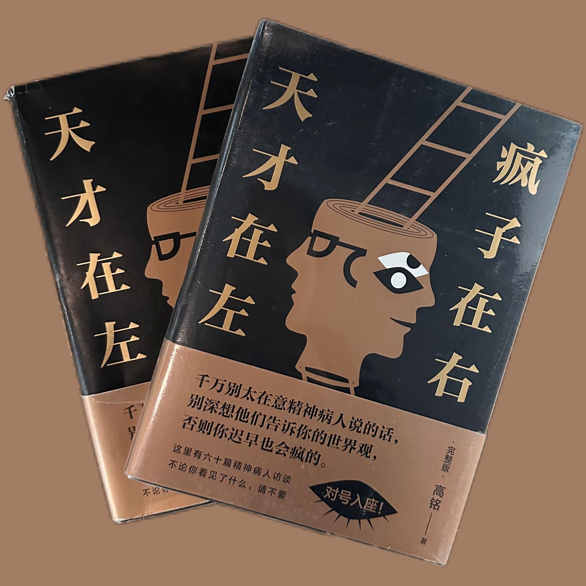 天才在左疯子在右:完整版