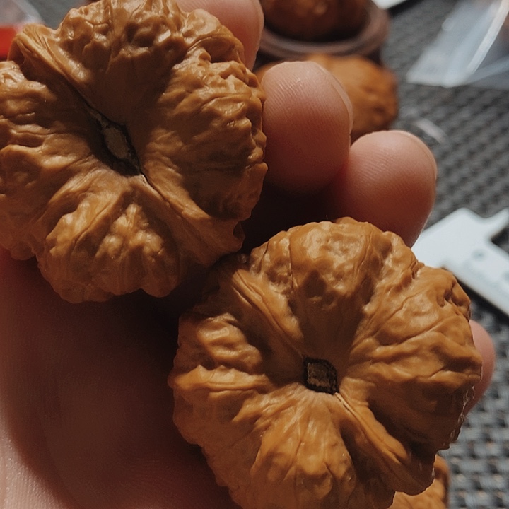 核桃手串/手链s****~文玩核桃蛤蟆