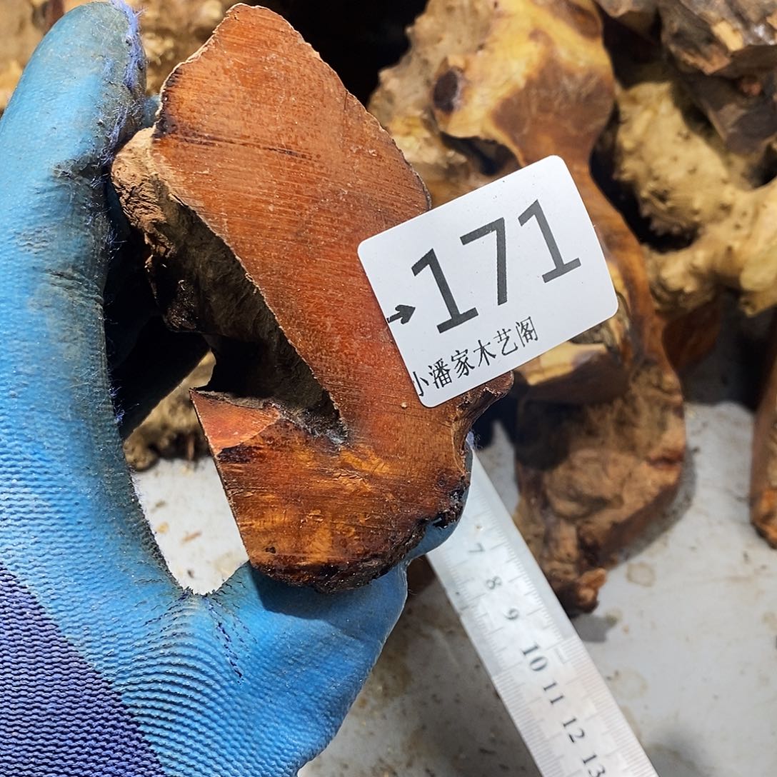 香榧木一*红火琉璃……火琉璃