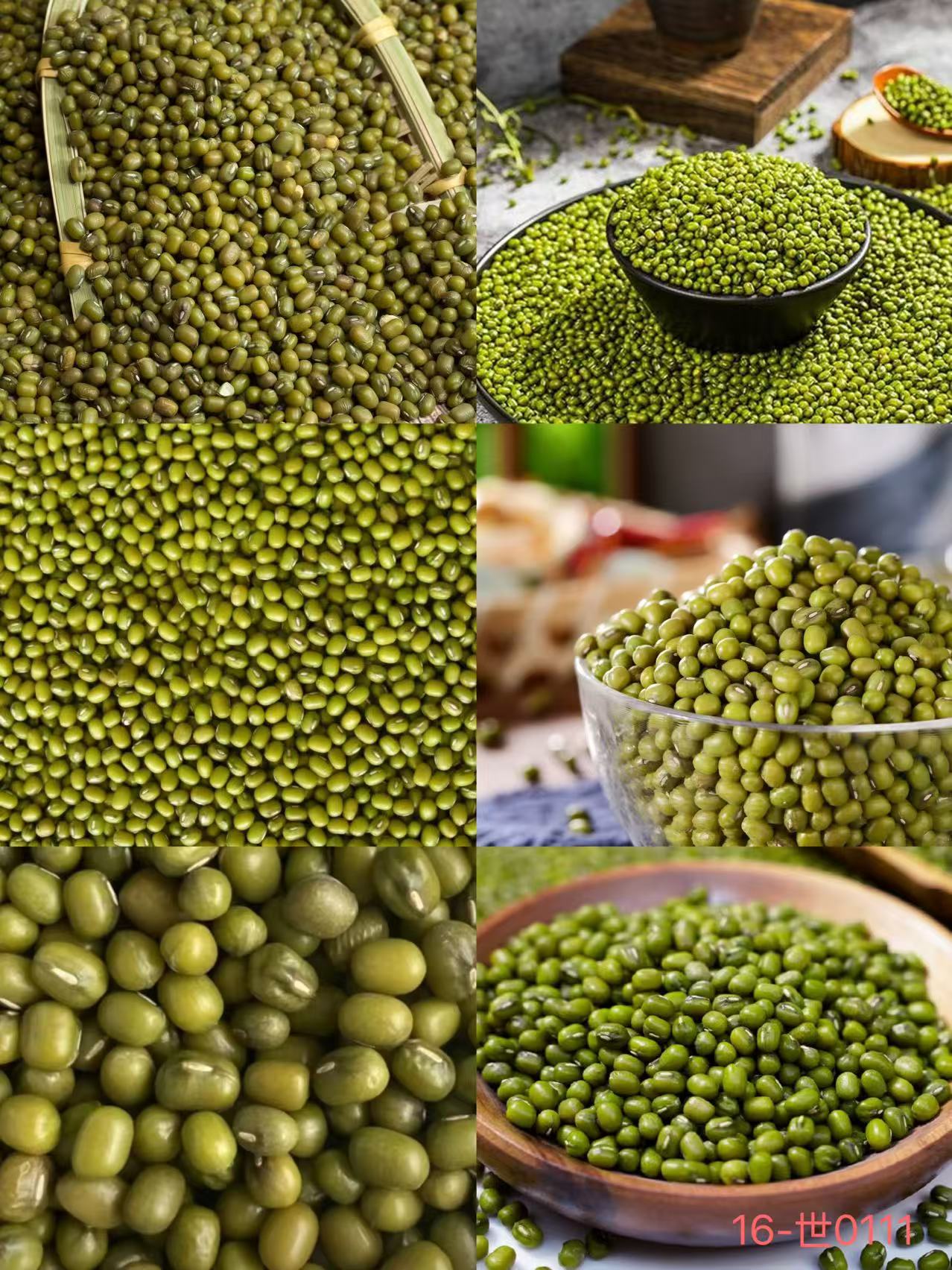 《16》来总专属土特产 绿豆-1.4-CXSJ0111-23g