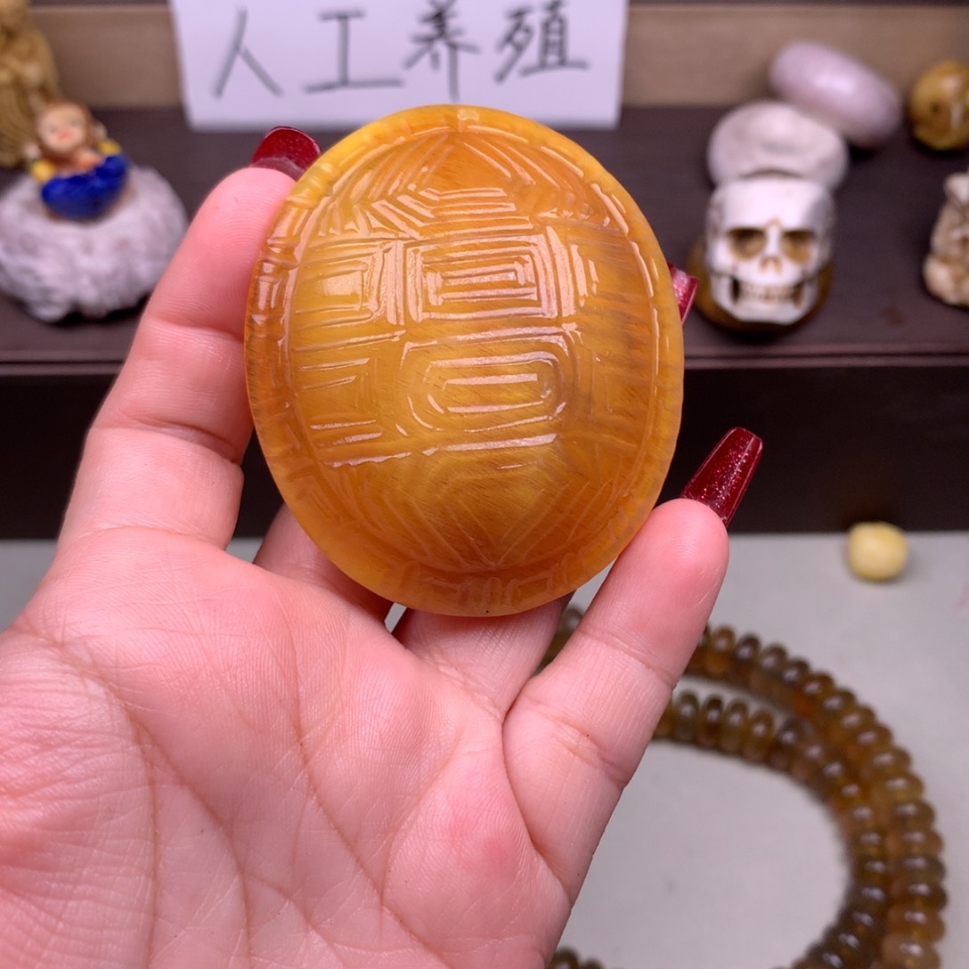 驼骨其他好看驴踢