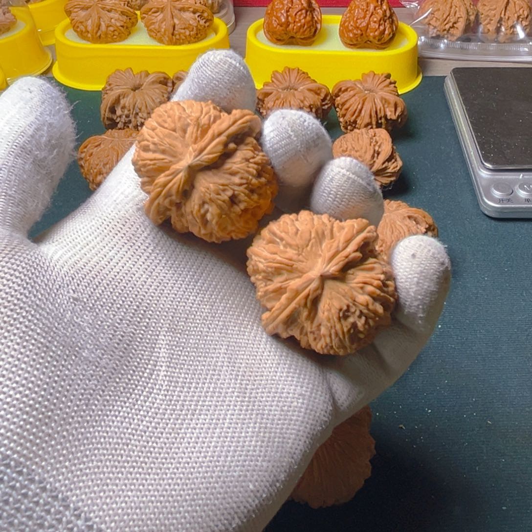 文玩核桃把件40全品白狮子