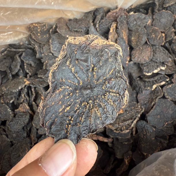 内蒙古阿拉善肉苁蓉切片泡酒泡水代切片发货