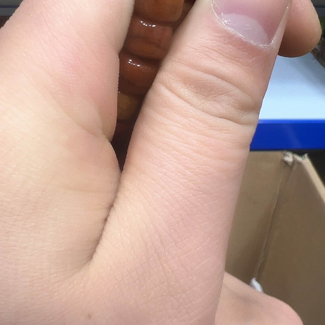 茶盏我们的生活方式是什么