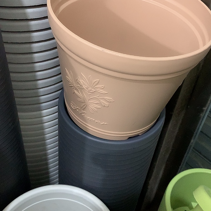 浮雕口29高25浅色3个