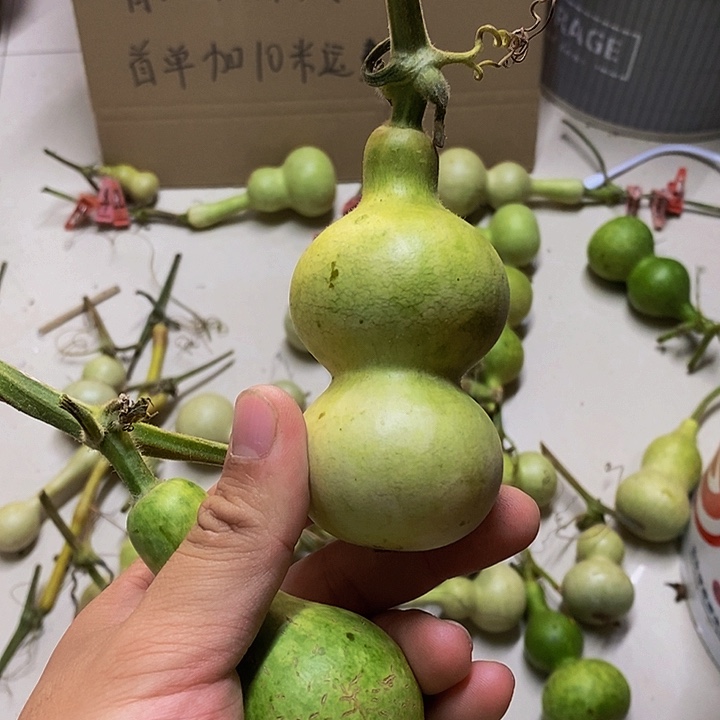 李*逸长嘴哈哈哈哈哈哈哈哈哈哈好