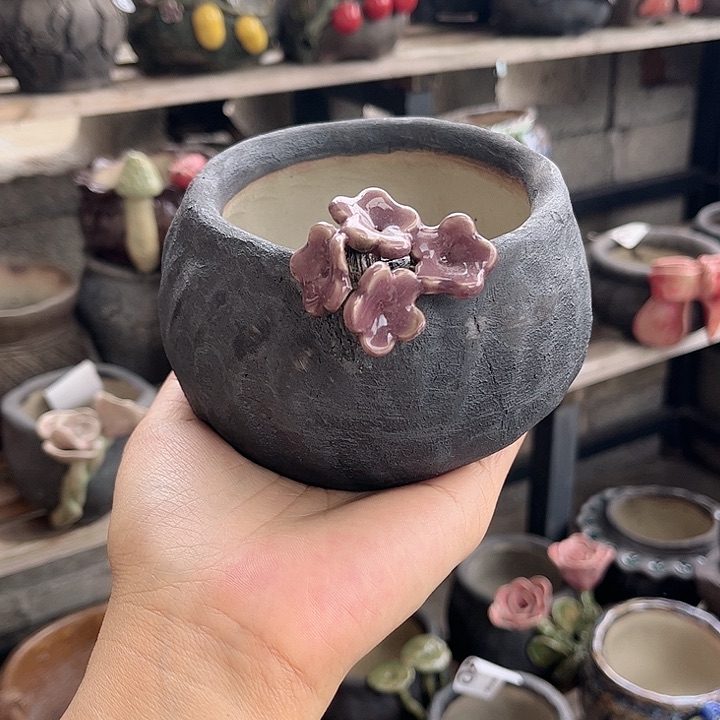 红陶这个世界就是这样