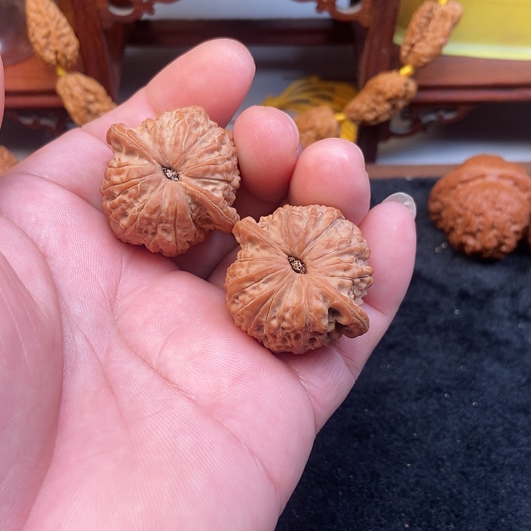 护***全大叶紫檀（黑酸枝木类）血麒麟