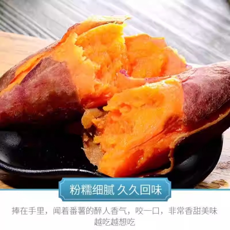 正宗红心西瓜红红薯新鲜农家自种沙地25号烟薯河北衡水