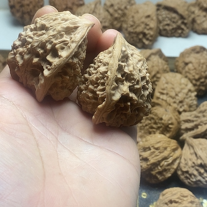 桃核吊坠官帽大肚子蛇 