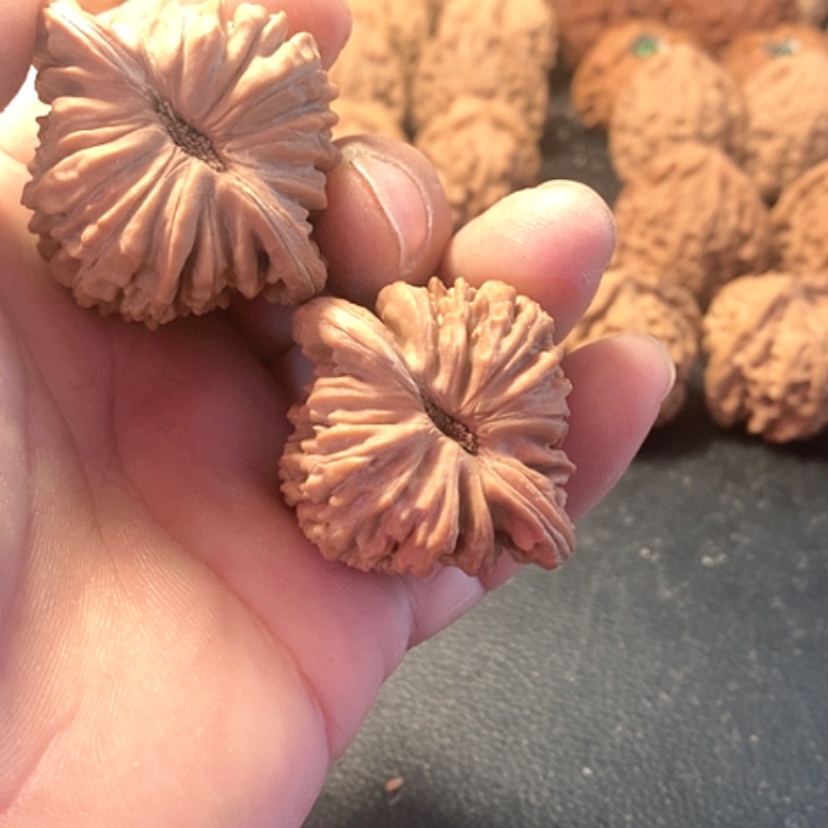 【闪购商品】既****此楼