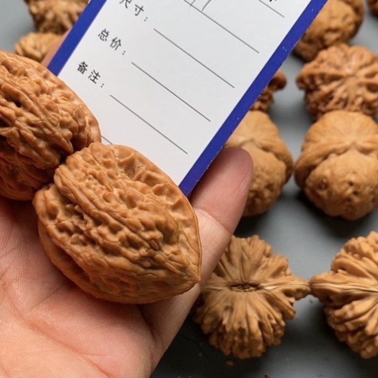 文玩核桃把件淡**生壁虎