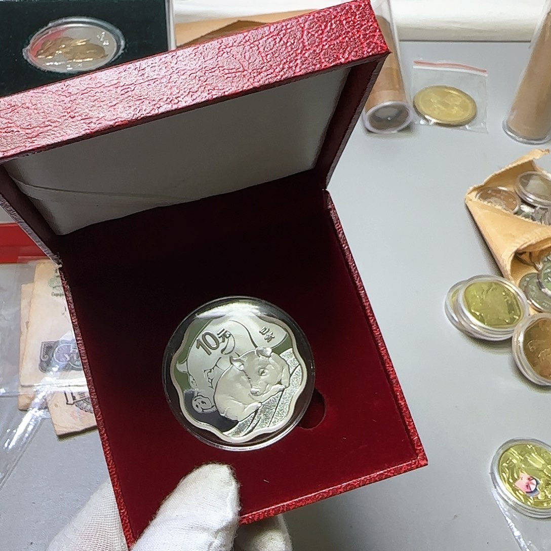 梅花形生肖猪纪念银币福利