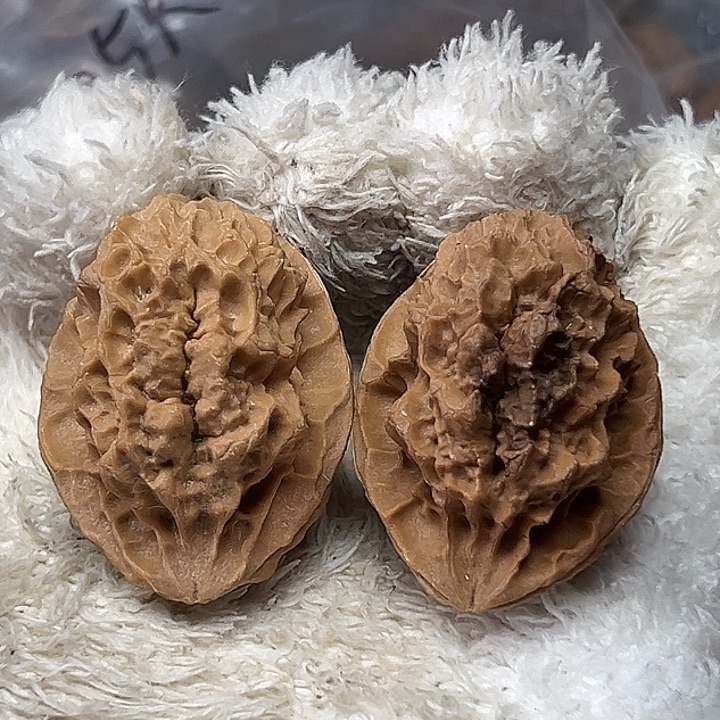 文玩核桃把件14号佛莲38尺