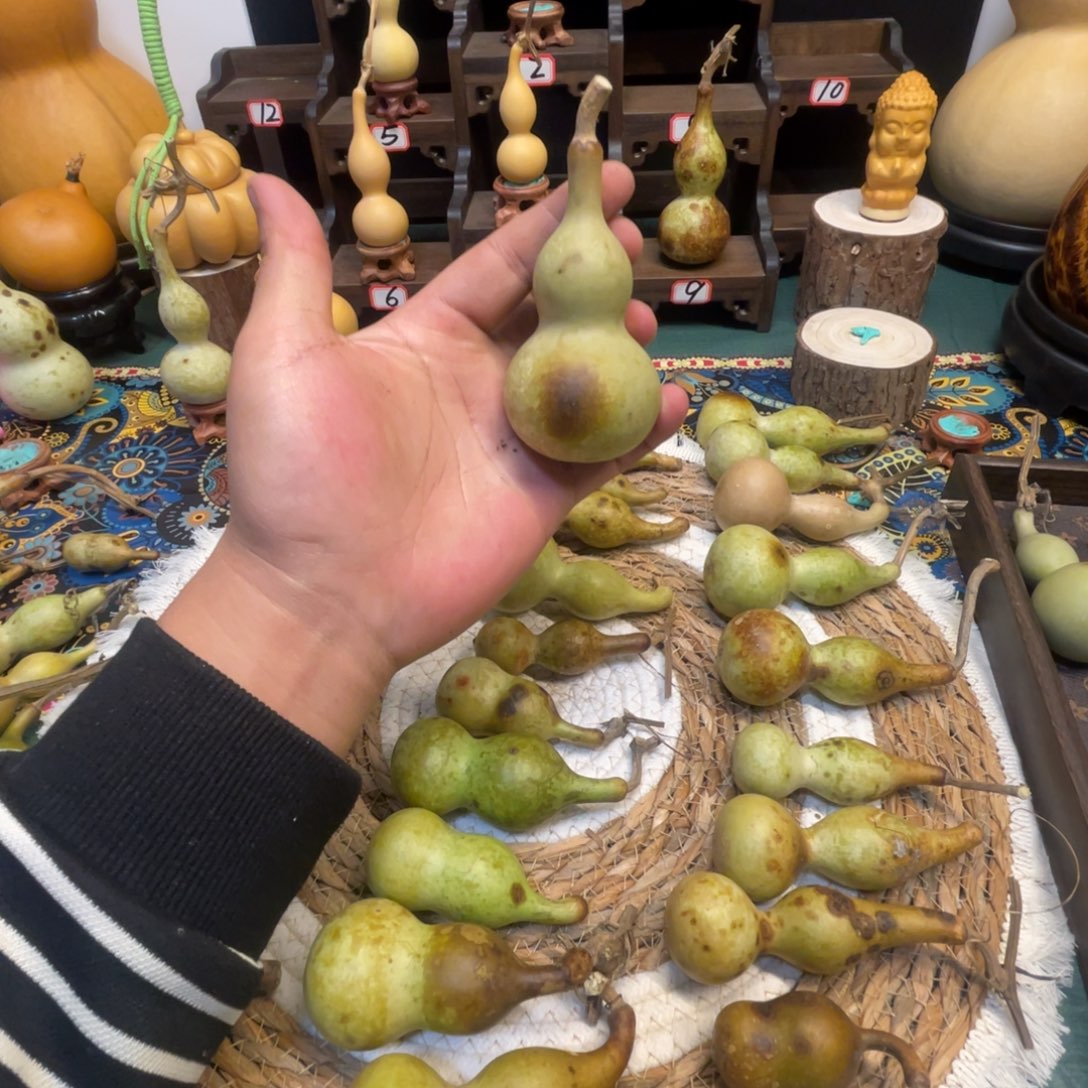 蒋***得感谢大哥支持兄弟