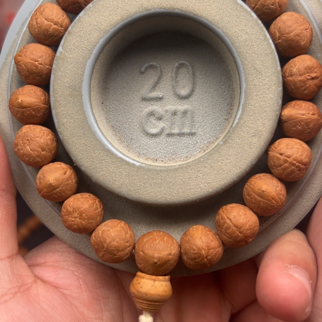 吊坠凤眼菩提12尺寸手持