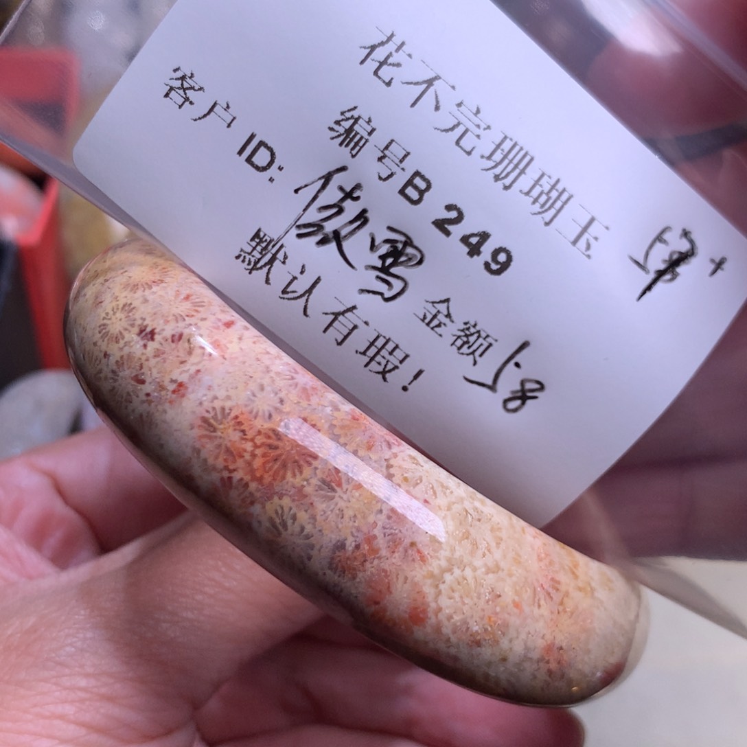 硅化玉颈饰未镶嵌傲*